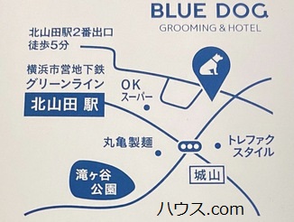 bluedog地図